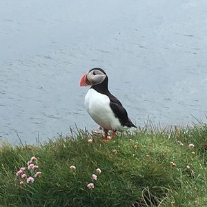 Meet your Posher, Tristan